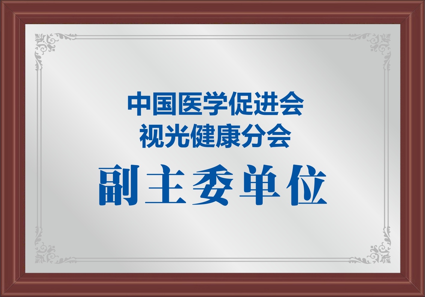 中国医学促进会副主委单位