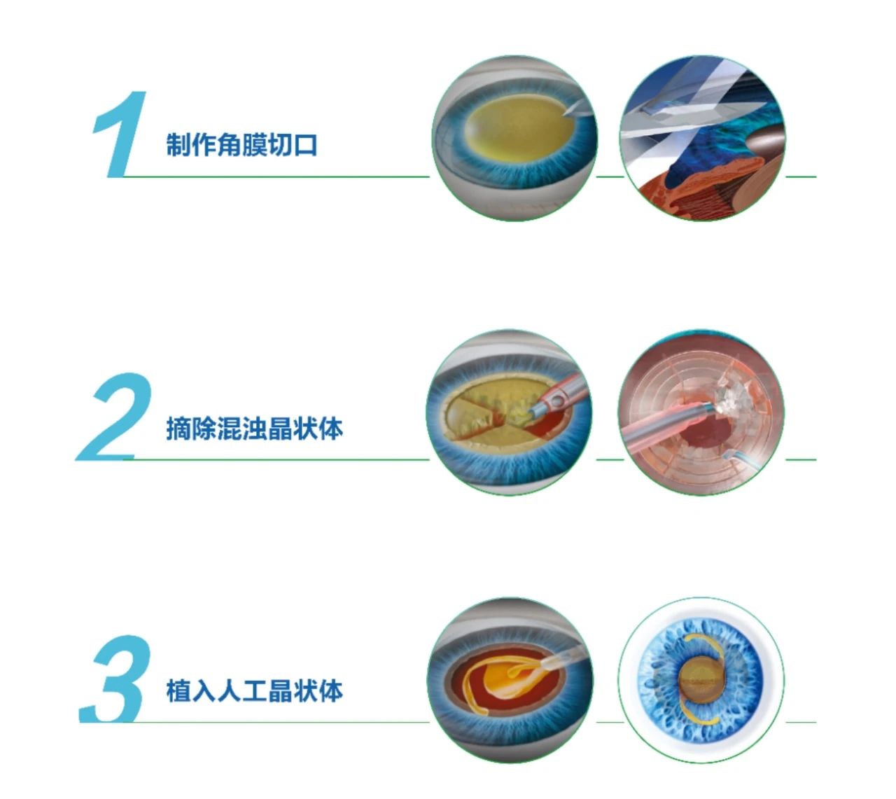微信图片_2025-06-24_092126_830