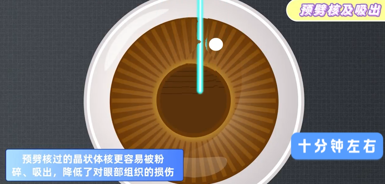 微信图片_2025-07-02_091934_474