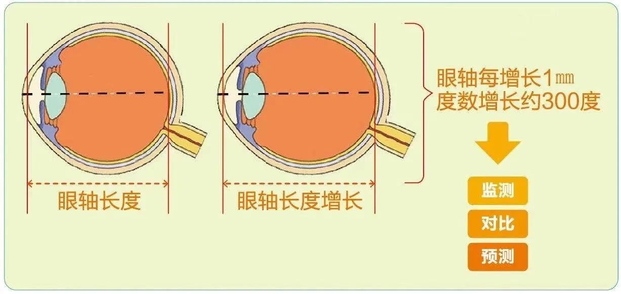 微信图片_2025-07-29_091224_421