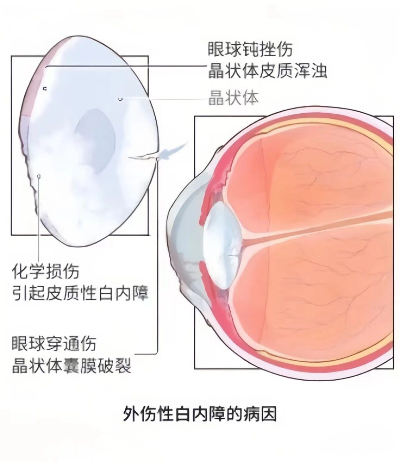 微信图片_2025-07-09_090435_265