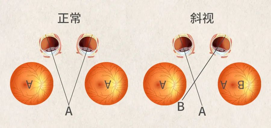 微信图片_2025-07-24_152318_919