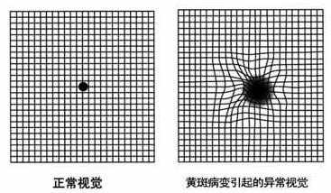 微信图片_2025-07-24_154455_712
