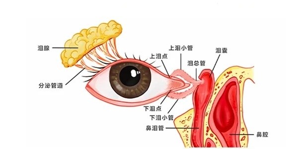 微信图片_2025-07-10_092531_196
