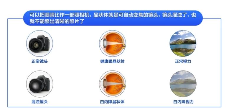 微信图片_2025-07-16_090806_467
