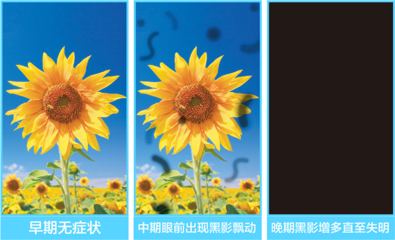 微信图片_2025-07-22_093442_679