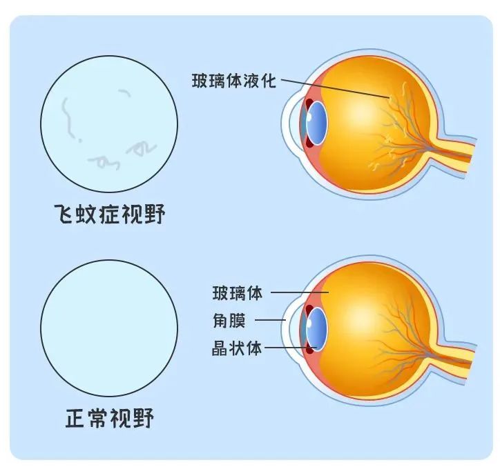 微信图片_2025-07-23_093702_742