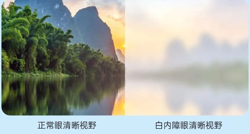微信图片_2025-07-09_090442_432