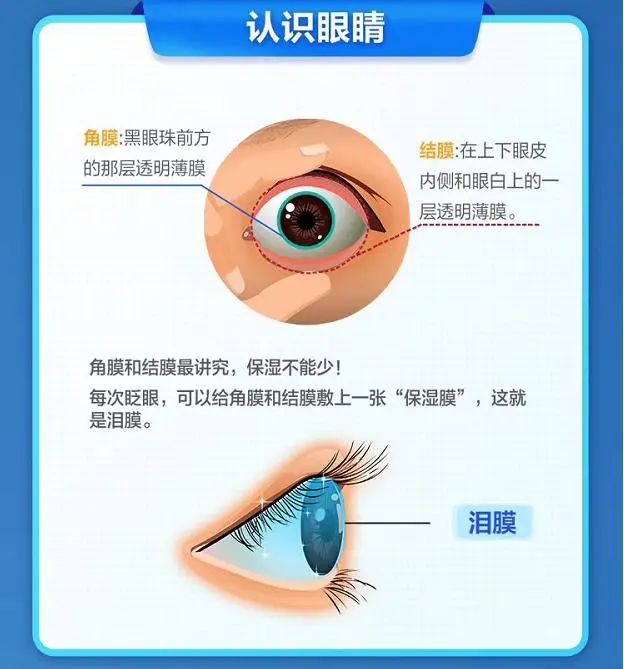 微信图片_2025-07-09_091006_336