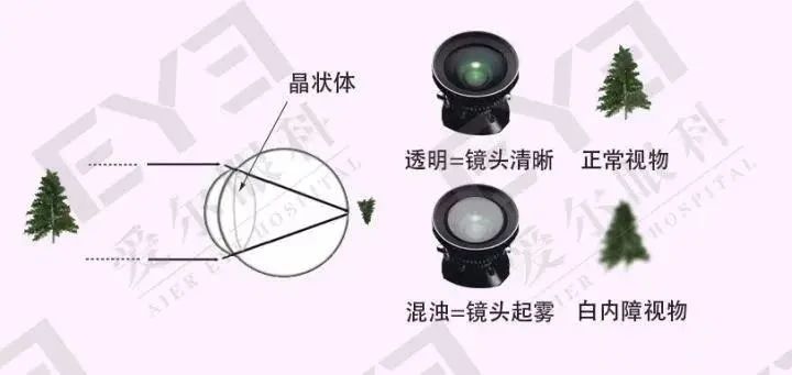 微信图片_2025-07-15_083929_321