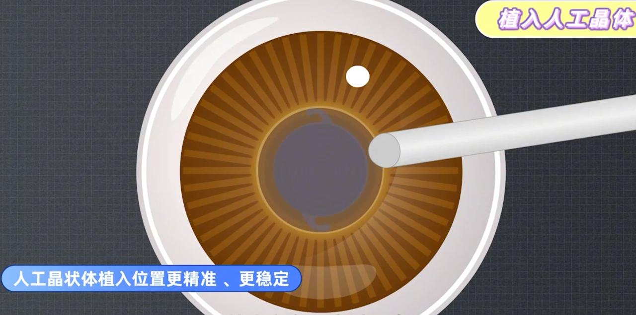 微信图片_2025-07-02_091937_786