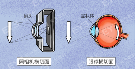 微信图片_2025-07-14_093629_208