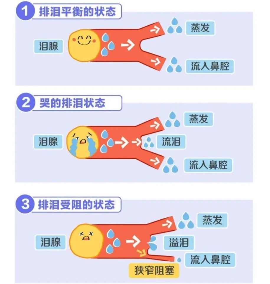 微信图片_2025-07-10_092432_884
