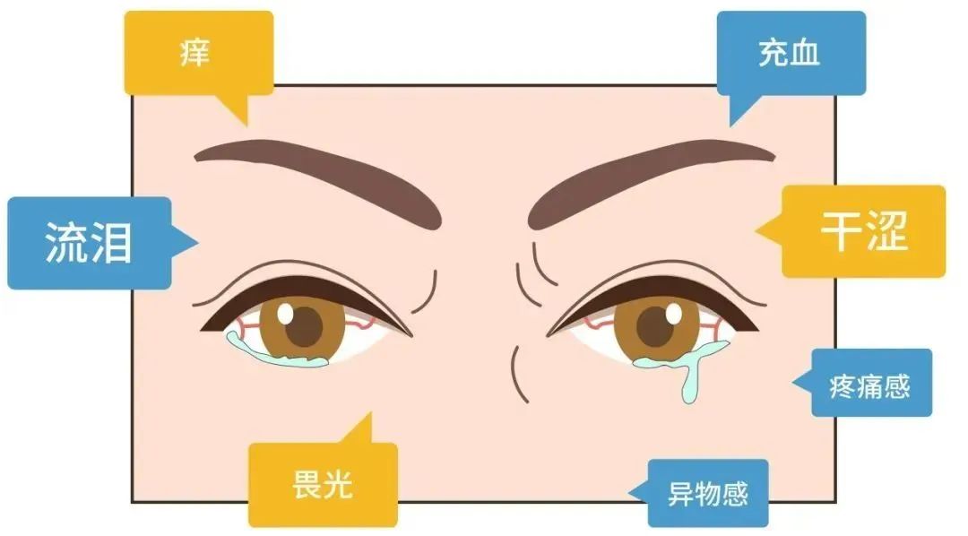 微信图片_2025-07-09_091012_121