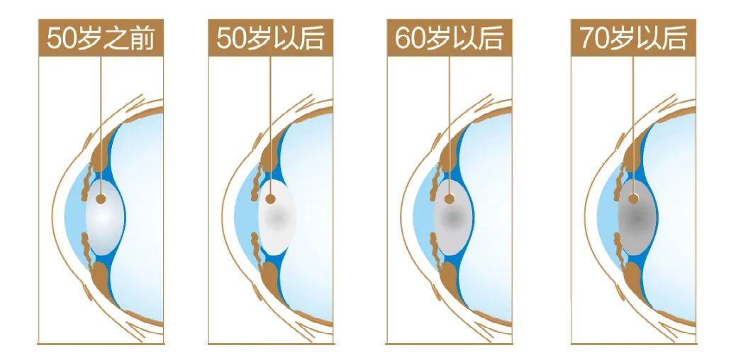 微信图片_2025-08-05_095735_528