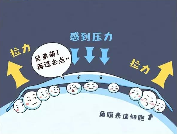 微信图片_2025-08-04_093435_554