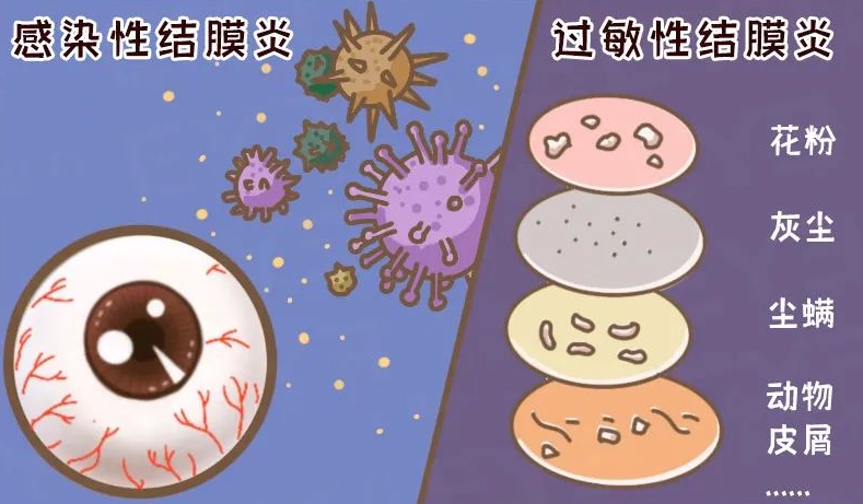 微信图片_2025-08-15_100414_472