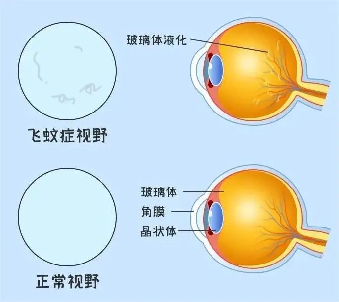 微信图片_2025-08-01_093622_994 微信图片_2025-08-01_093622_994