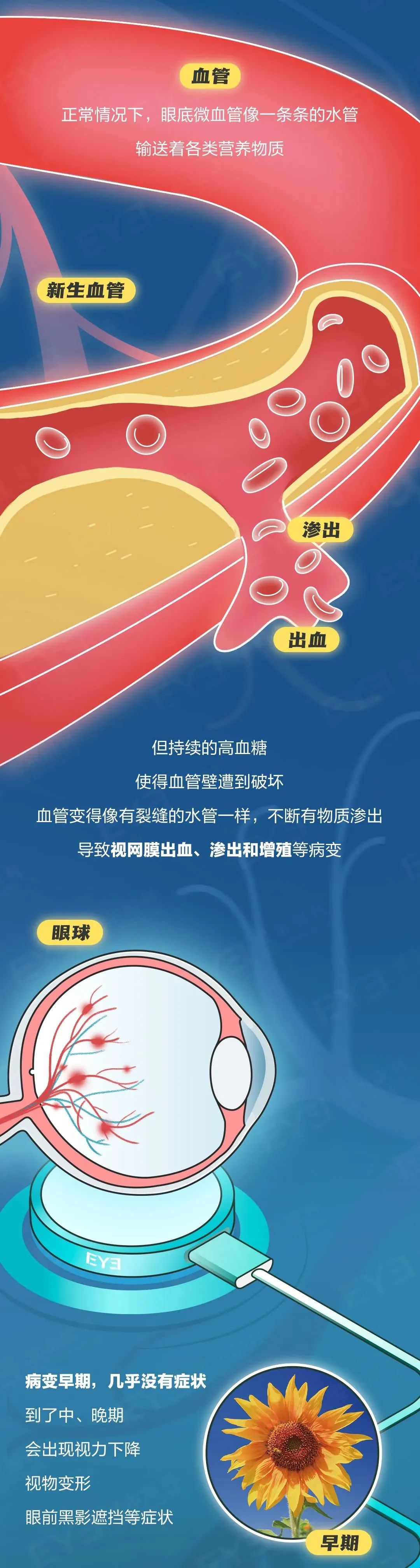 微信图片_2025-08-19_101016_532