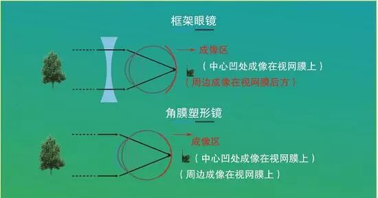 微信图片_2025-08-14_092806_969