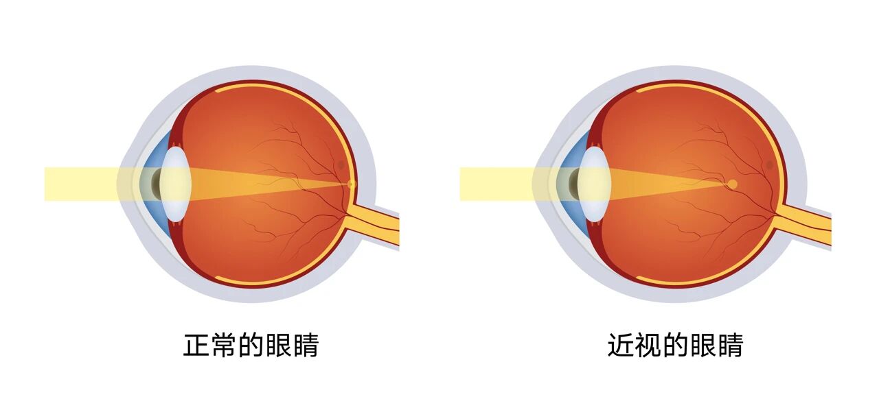 微信图片_2025-09-26_091433_222