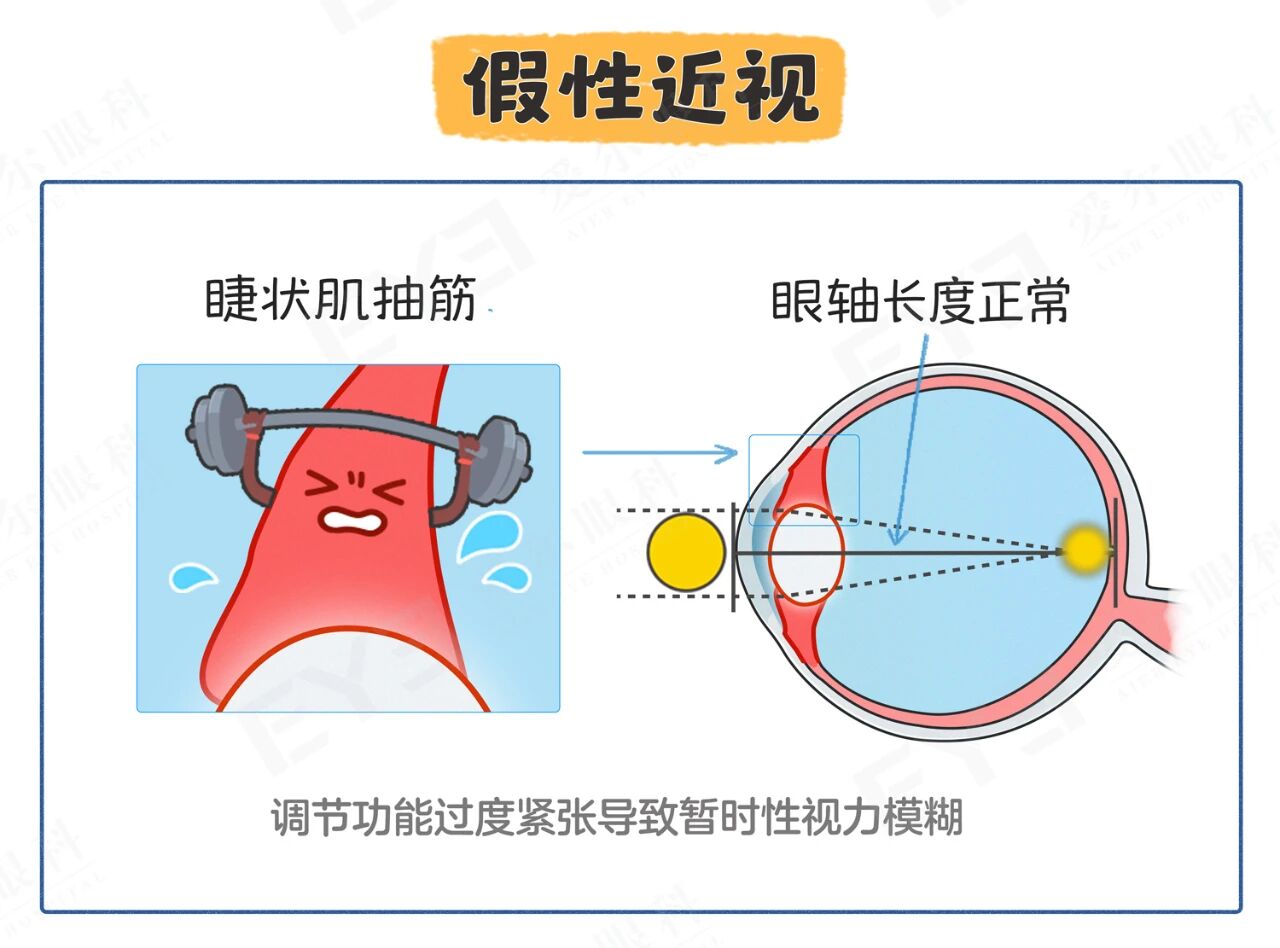 微信图片_2025-09-29_094816_657