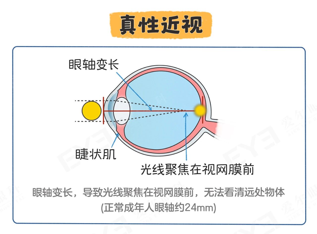 微信图片_2025-09-29_094813_704