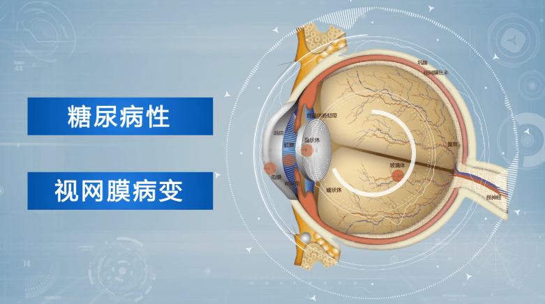 微信图片_2025-09-15_100751_717