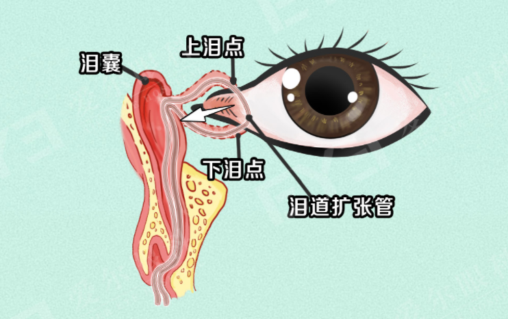 微信图片_2025-09-12_091549_717