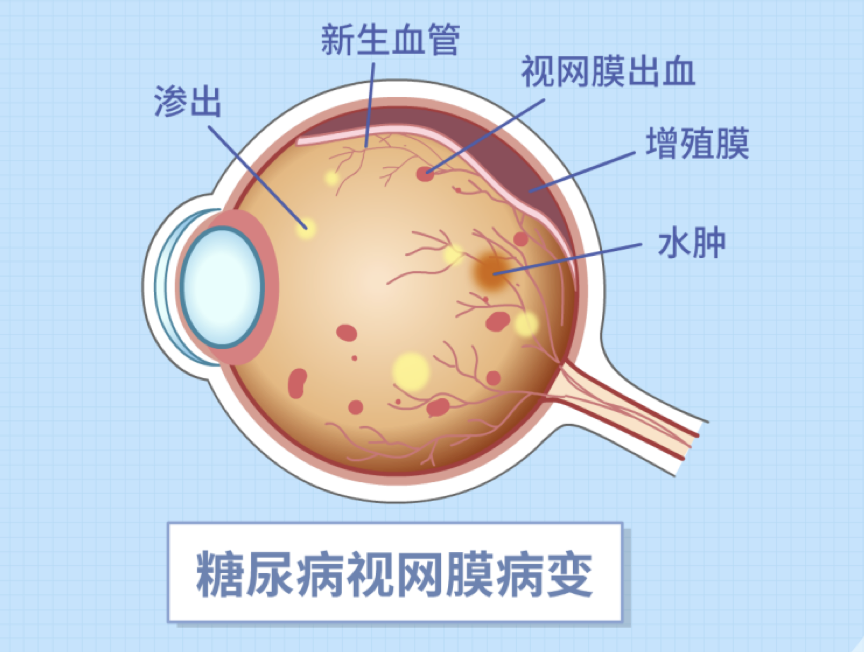 微信图片_2025-09-09_095529_966