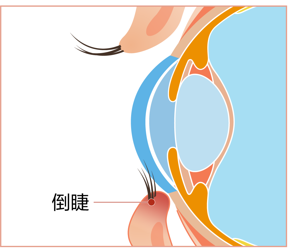 微信图片_2025-09-29_094825_672